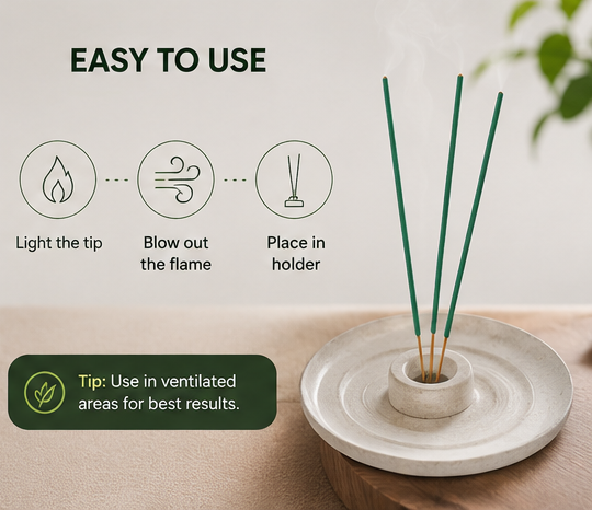 Mosquito Shield Sticks (1 Packet / 10 Sticks) (Incense Stick)