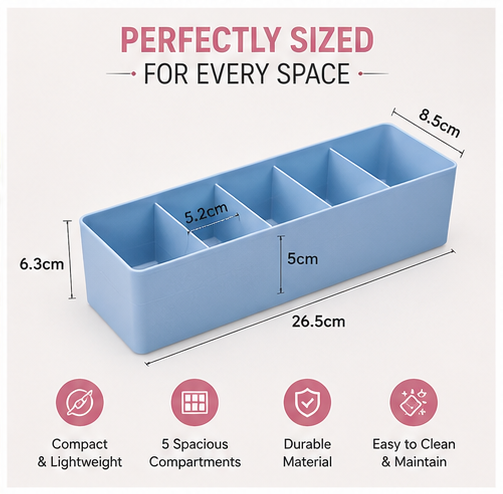 Multi Compartment Organizer Box