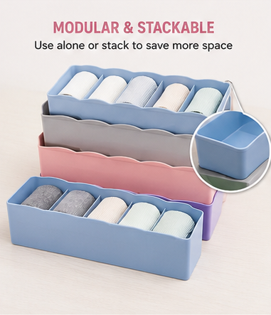 Multi Compartment Organizer Box